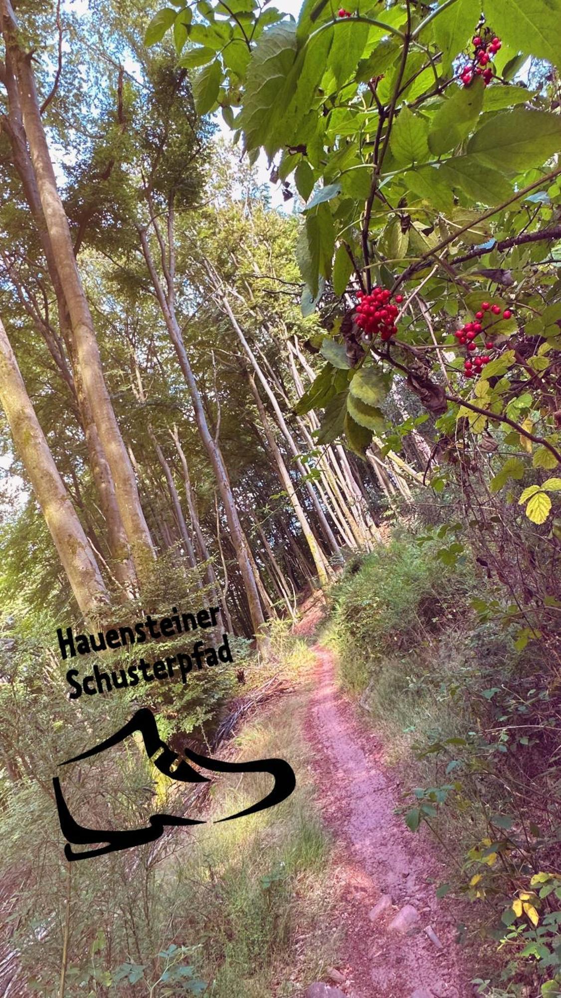 Heimatliebe Erfweiler Wohnung Zwae ภายนอก รูปภาพ